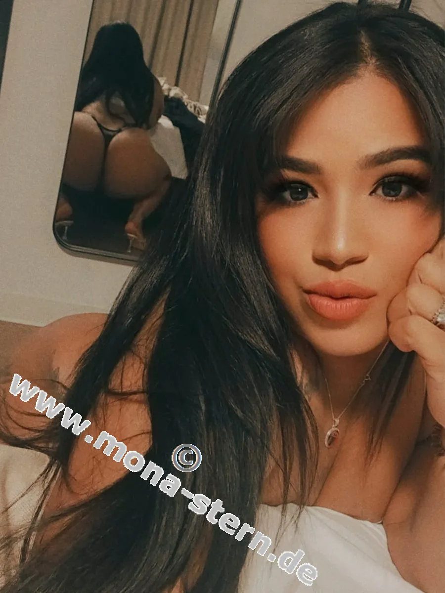 Escorts Stuttgart, Germany Ely/Santo Domingo