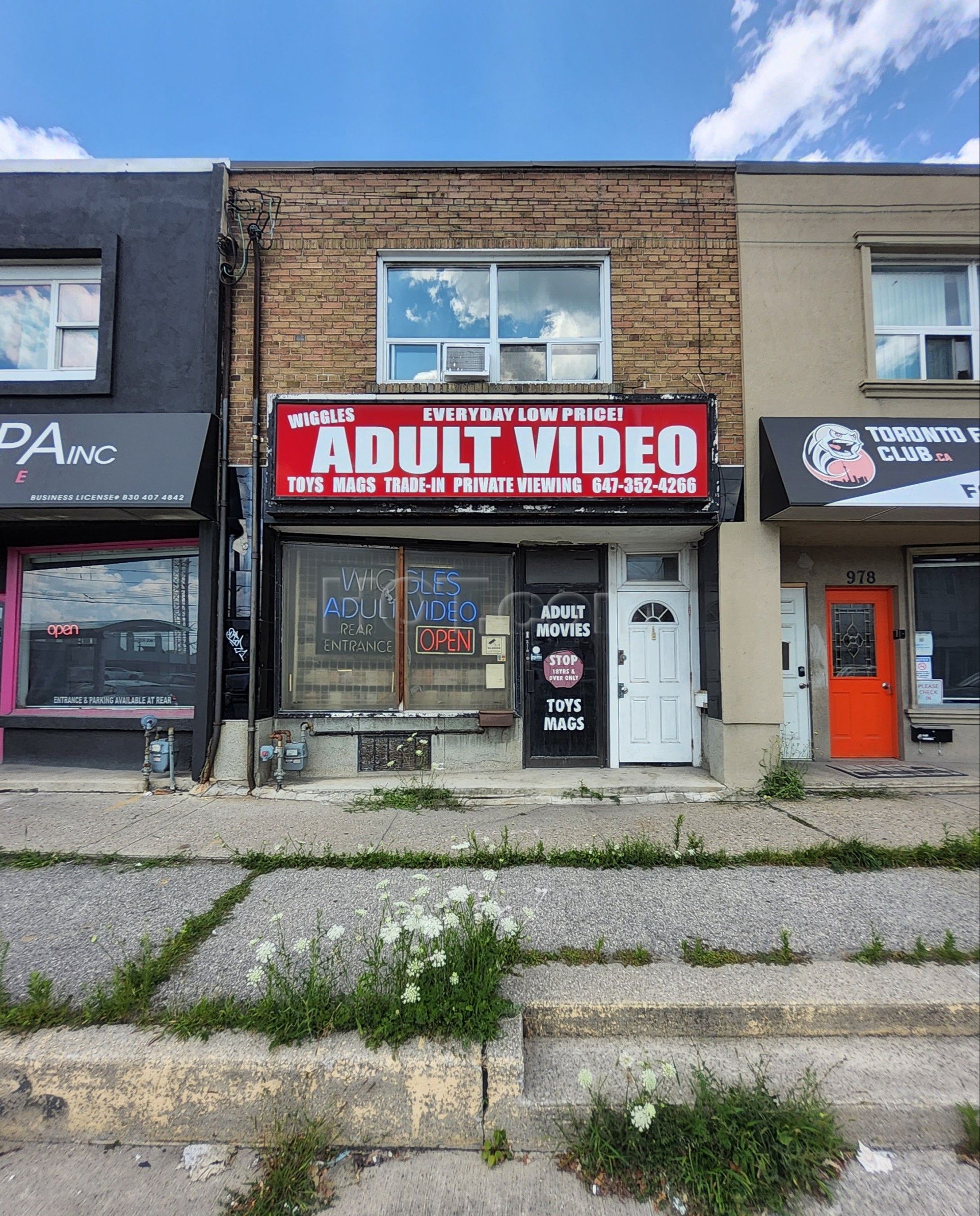 Etobicoke, Ontario Wiggles Adult Video