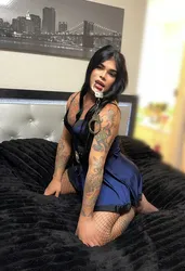 Escorts Houston, Texas Sofia_c