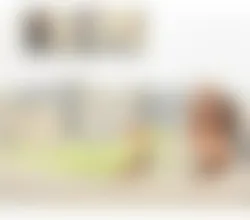 Escorts Chelmsford, England 🍆 TRANSEXUAL Bella woman best experience🍆