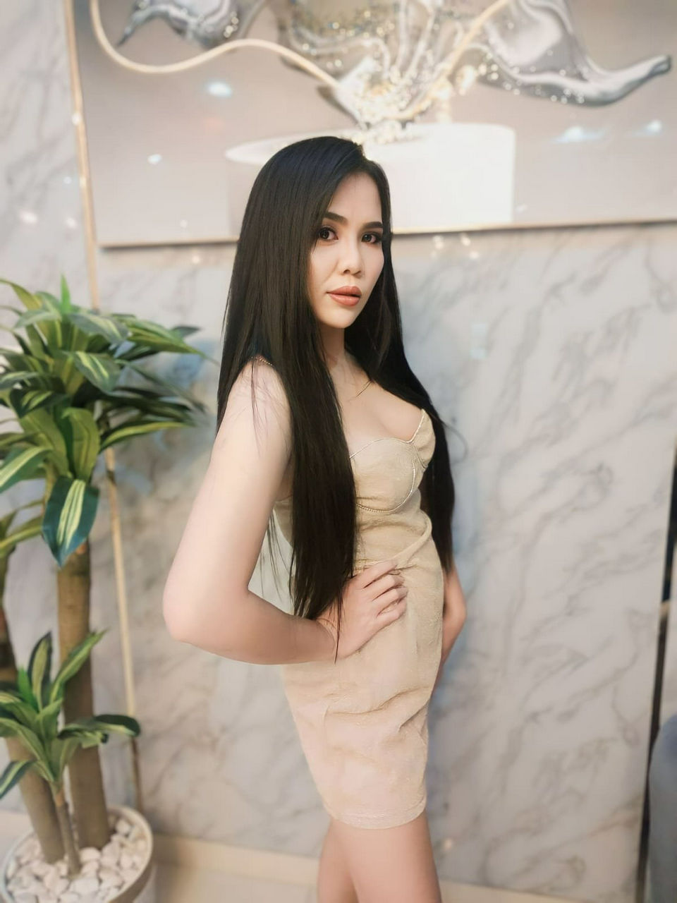 Escorts Dubai, United Arab Emirates Mena