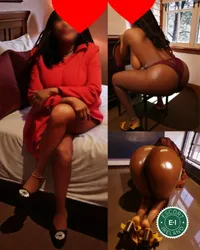 Escorts Derry, Ireland Sweet Honey