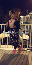 Escorts Bellevue, Washington Erotikare
