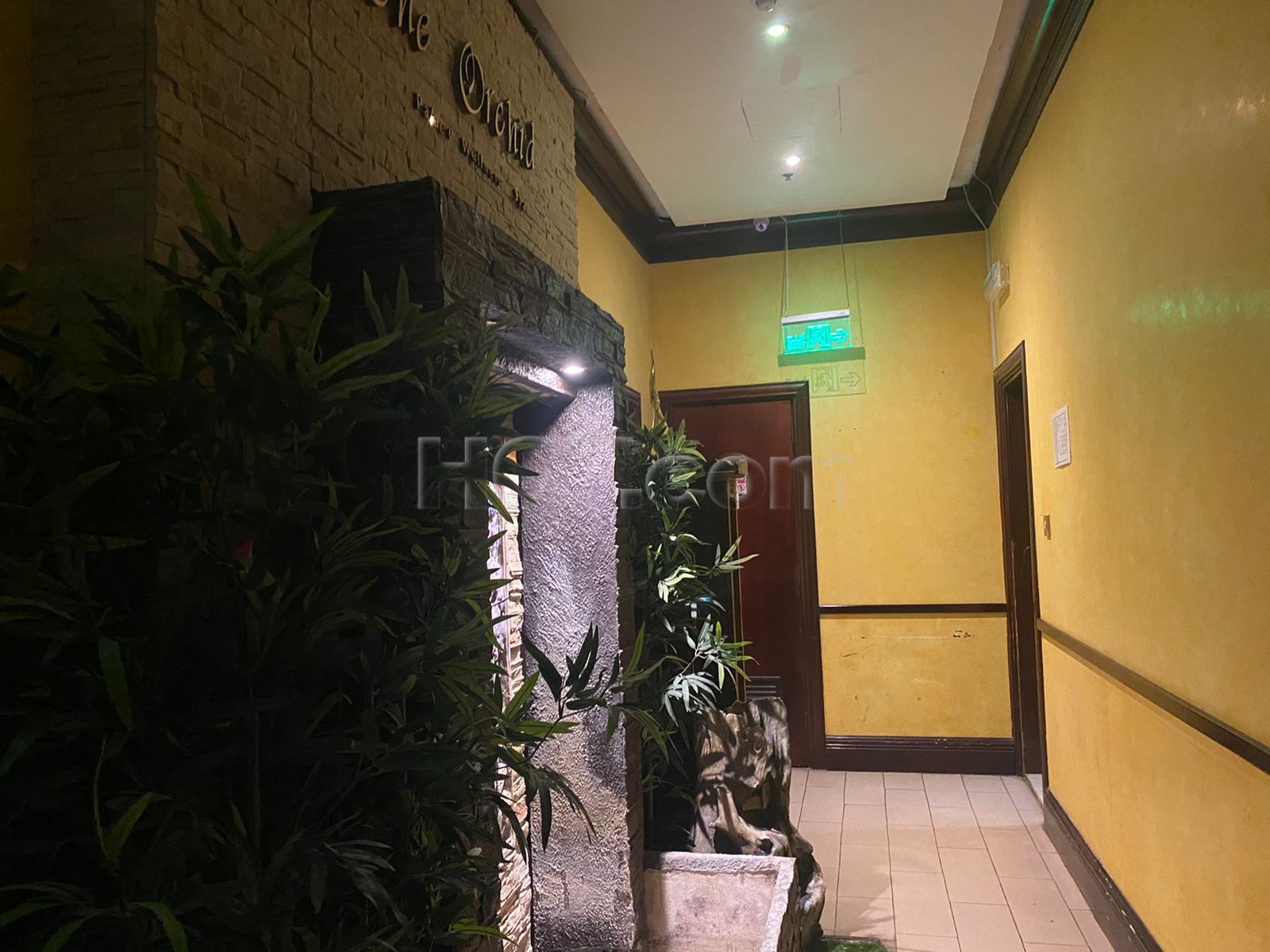 Abu Dhabi, United Arab Emirates Orchid Palace Wellness Spa