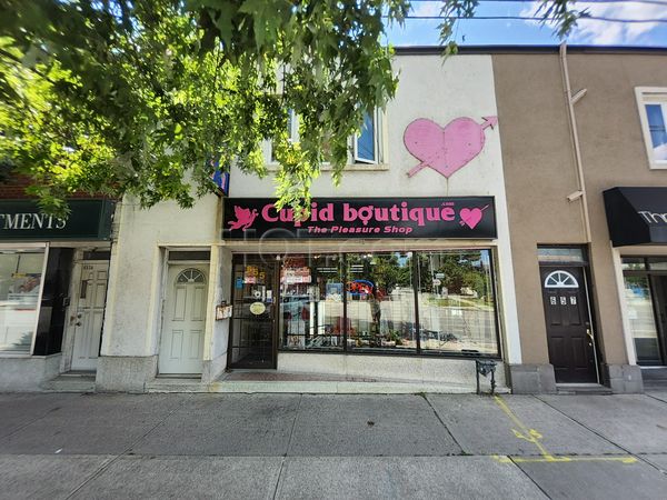 Sex Shops Etobicoke, Ontario Cupid Boutique