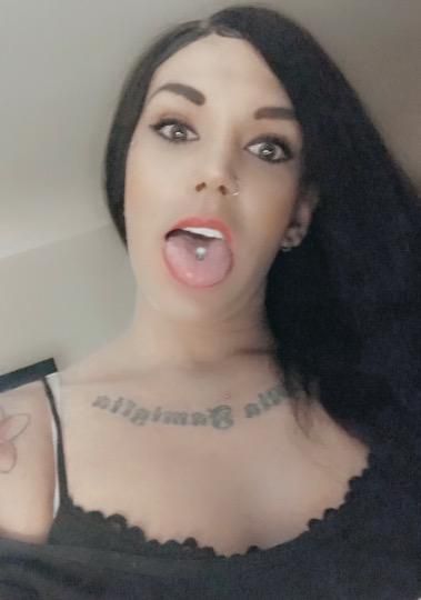Escorts Pittsburgh, Pennsylvania Sunday night discounts on Sexy facetime and google duo shows today only
