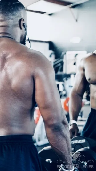 Escorts Houston, Texas null