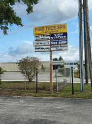 Pinellas Park, Florida Pine Tree Massage Spa