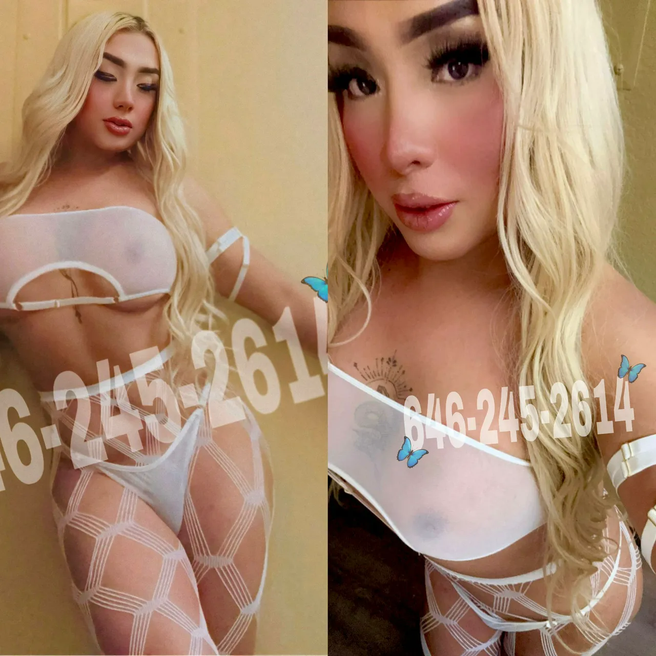 Escorts Denver, Colorado Sheynnis🐰