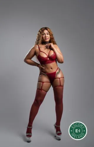 Escorts Dublin, Ireland Sweet Luz