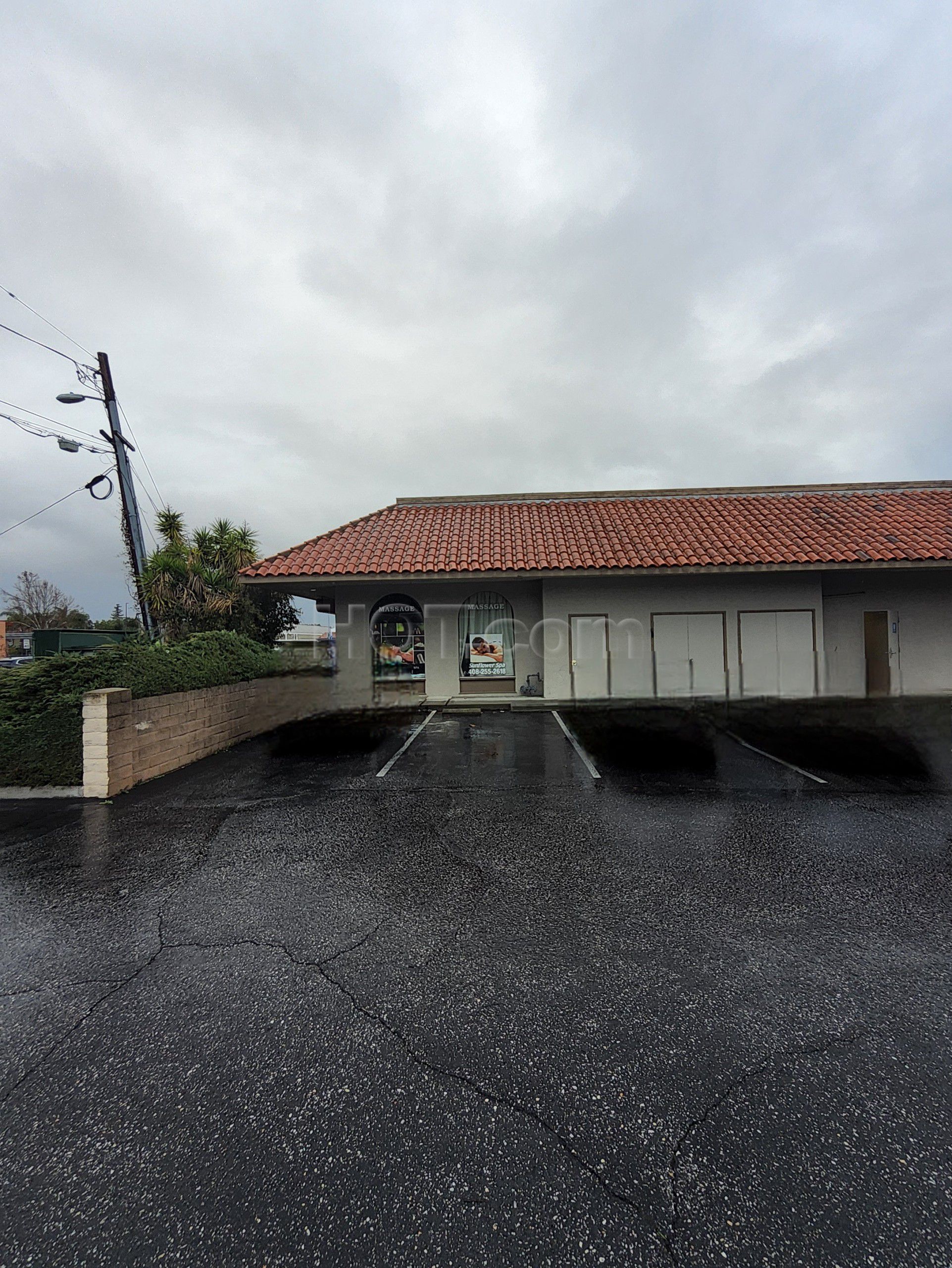 Cupertino, California Sunflower Spa