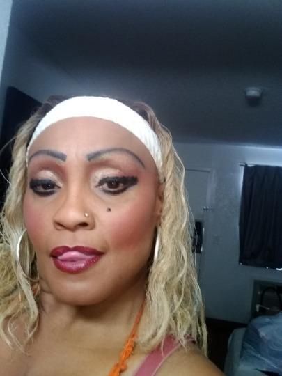 Escorts Tampa, Florida 