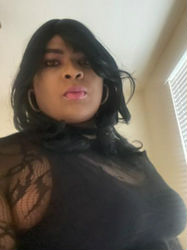 Escorts Tampa, Florida Sexy BBW Freaky TS girl Eager Willing and Ready to Please