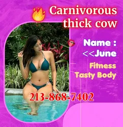 Escorts Illinois City, Illinois ☞ 💦👙💦👙Mimi🐱 & June🐱 💦👙Mimi & June💦👙here to achieve your dream✔⚜Chicago, US -