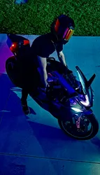 Escorts Tampa, Florida Mizery