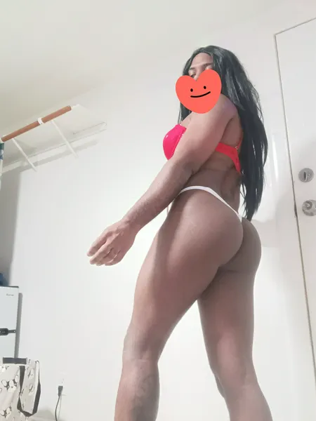 Escorts The Bronx, New York BRONX NY 🇩🇴🍆