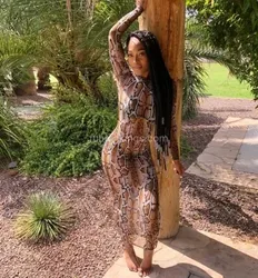 Escorts Charlotte, North Carolina Petite Beauty✨