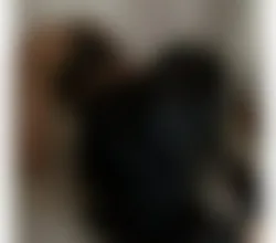 Escorts Oxford, England Call Mee New Theodora