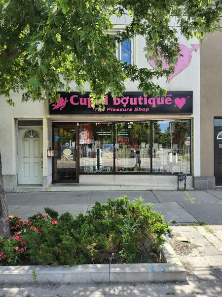 Sex Shops Etobicoke, Ontario Cupid Boutique