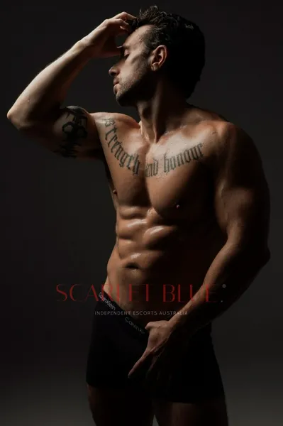 Escorts Melbourne, Australia Axel Meridius - male Escort 


