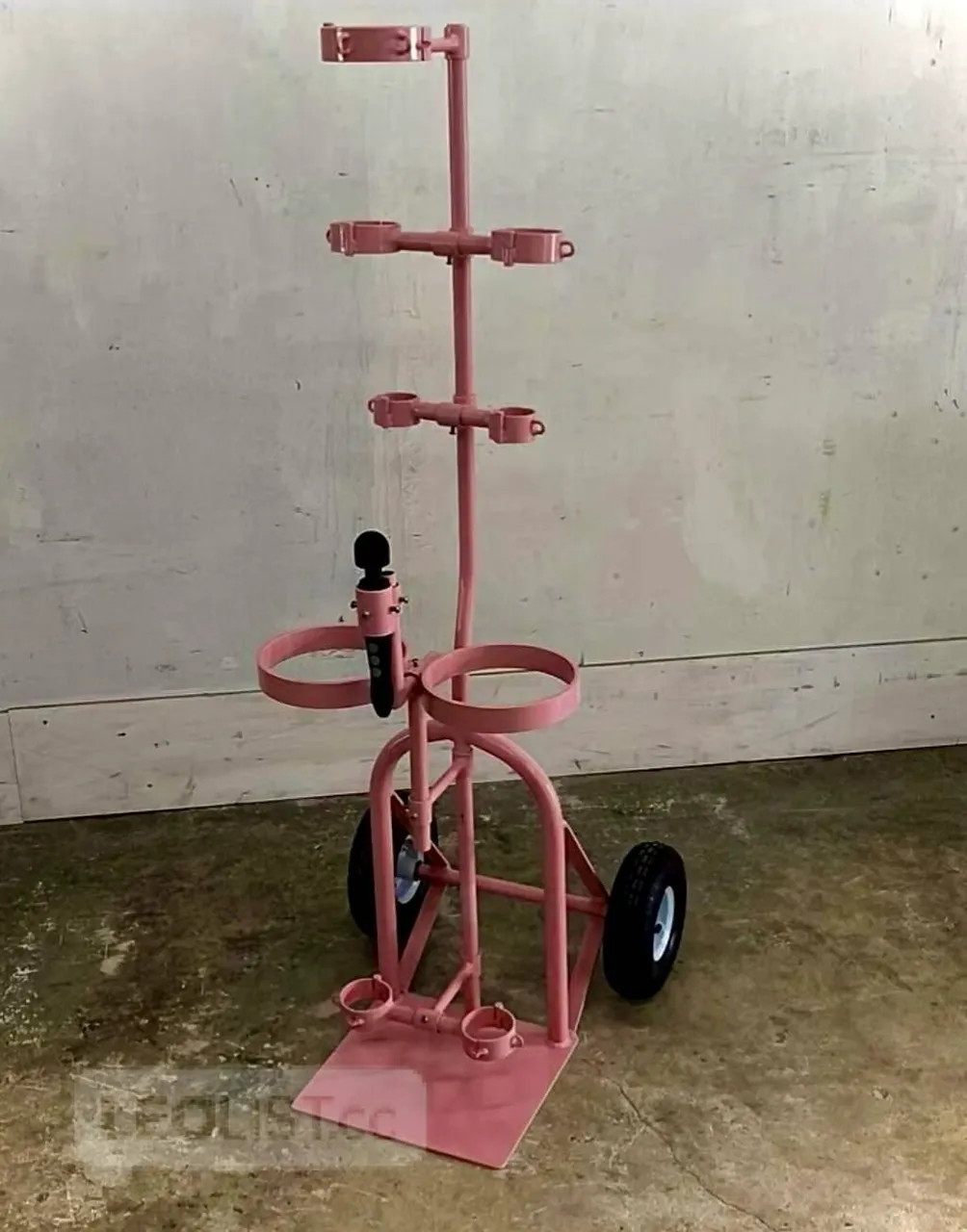 Escorts Vancouver, British Columbia Viola