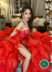 Escorts Dublin, Ireland TV Celina