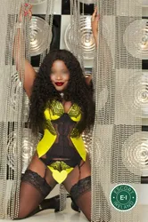 Escorts Belfast, Northern Ireland Brown Sugar UK