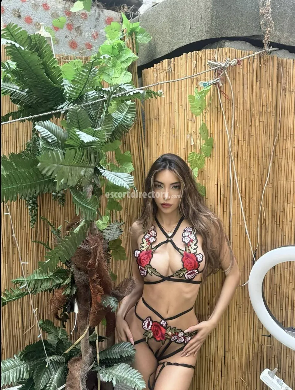 Escorts Riyadh, Saudi Arabia Meral