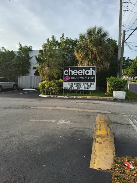 Strip Clubs Hallandale Beach, Florida Cheetah Hallandale Beach
