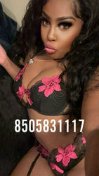 Escorts San Jose, California New Exotic thick ebonee