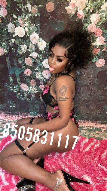 Escorts San Jose, California New Exotic thick ebonee