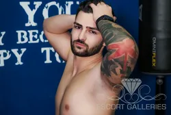 Escorts Amsterdam, Netherlands null