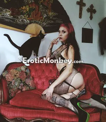 Escorts Sacramento, California Mercy Kitten Von Sin