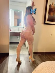 Escorts San Jose, California Estrella  nueva latina bella