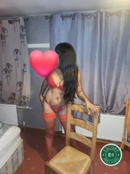 Escorts Dungannon, Northern Ireland Daniela Sweet