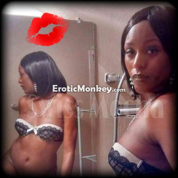 Escorts Reno, Nevada Swiss Mocha