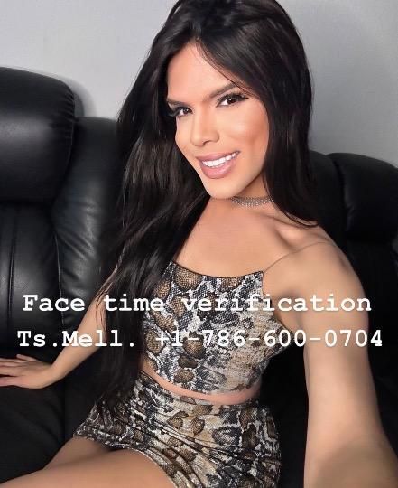 Escorts Detroit, Michigan VISITING-DETROIT-DOWNTOWN ❤ MELL ❤ - FACETIME VERIFICATION - VIP-GFE❤ BIG LOADS 💦💦 INCALL-OUTCALL AVAILABLE. FACETIME SHOW AVAILABLE.