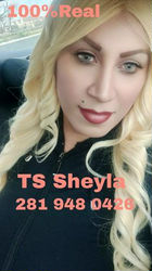 Escorts West Chester, Pennsylvania BLONDE TS LATINA FROM COSTA RICAN VISITING HERE ,SHEYLA