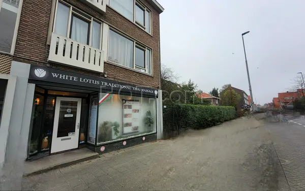 Massage Parlors Rotterdam, Netherlands White Lotus Massage