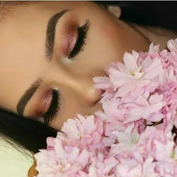 Escorts Cape Town, South Africa Escortdirectsouthafrica