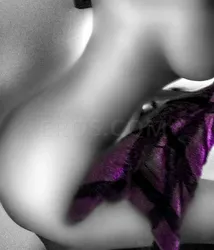 Escorts Clarksville, Tennessee Elle