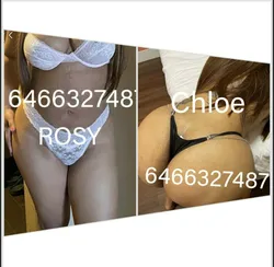 Escorts Charlotte, North Carolina Rose & chloe