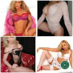 Escorts Cork, Ireland Sensual Danika