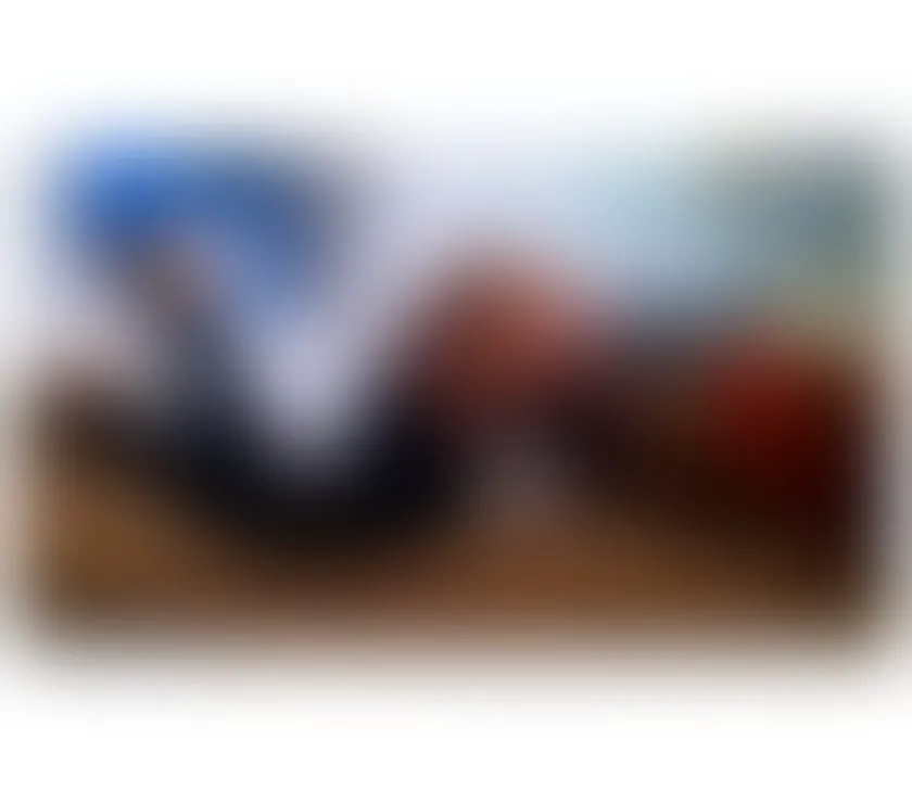 Escorts Belfast, Northern Ireland HOT BLACK 🖤 Transsexual Keisha.[TV]